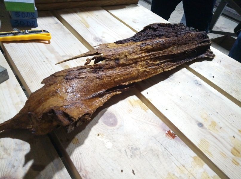 vosstanovlenie восстановление.jpg