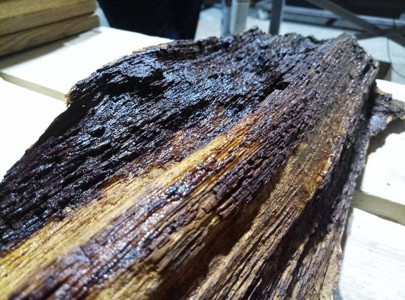 восстановление древесины.jpg