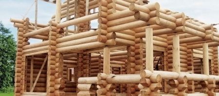  Средство для восстановления цвета древесины NATURAQUA BORMA NO GREY