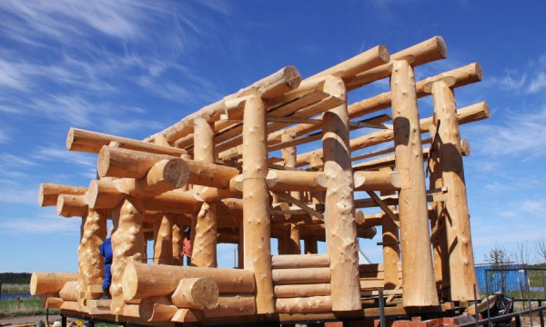 Барьерный грунт-антисептик на водной основе NATURAQUA BORMA SHIELD