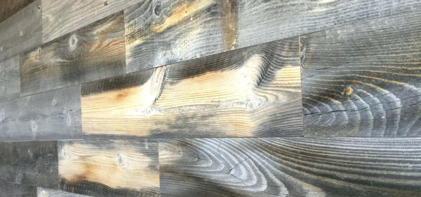 Восстанавливающий выравнивающий грунт RINOVA